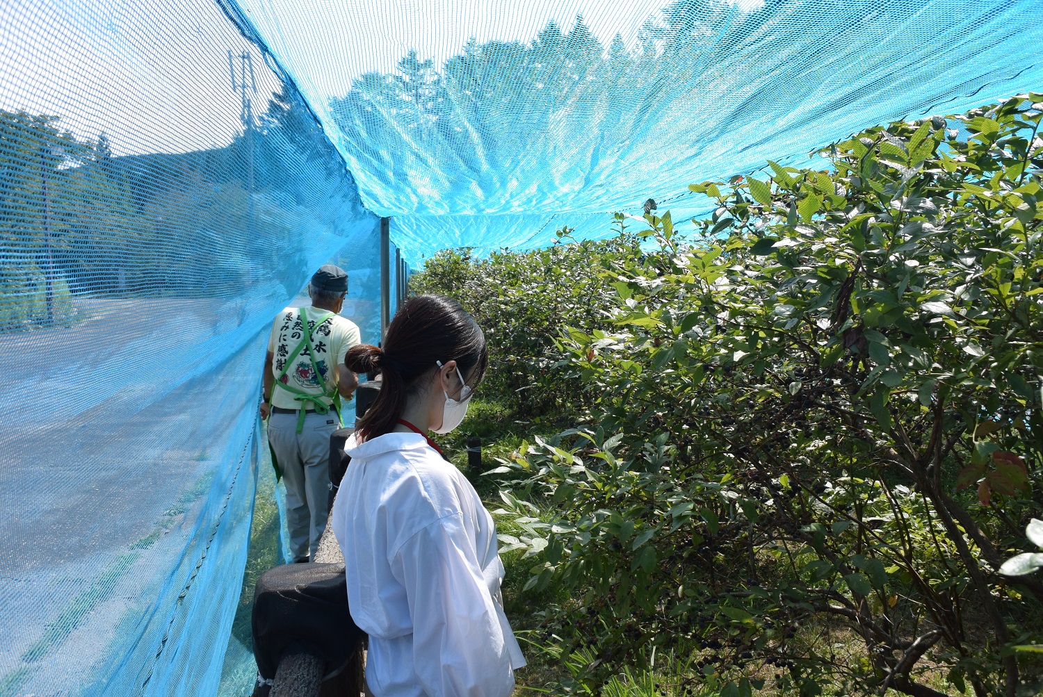 豊根村観光協会 お知らせ