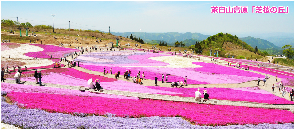豊根村観光協会