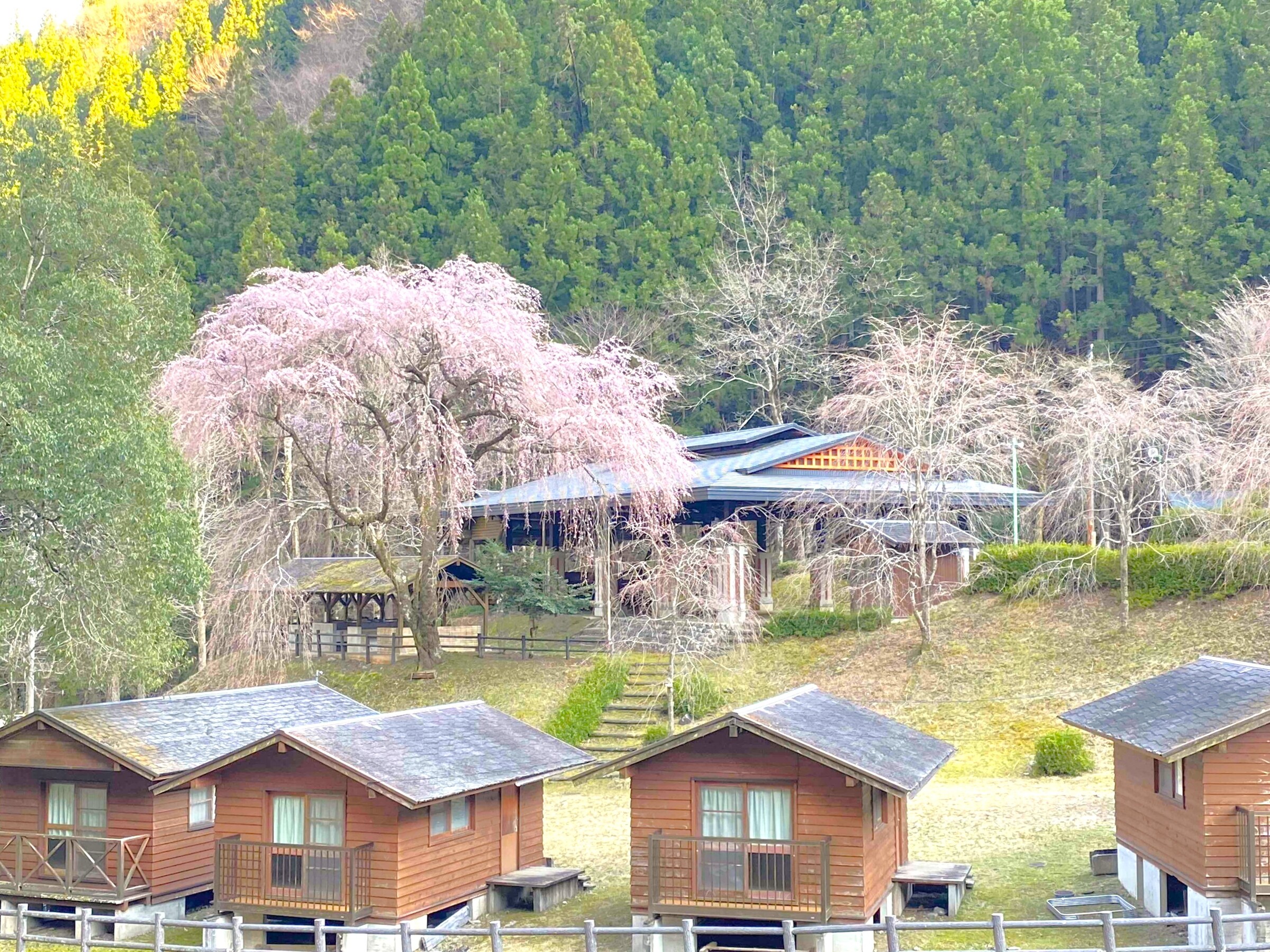 春の湯の島温泉まつり