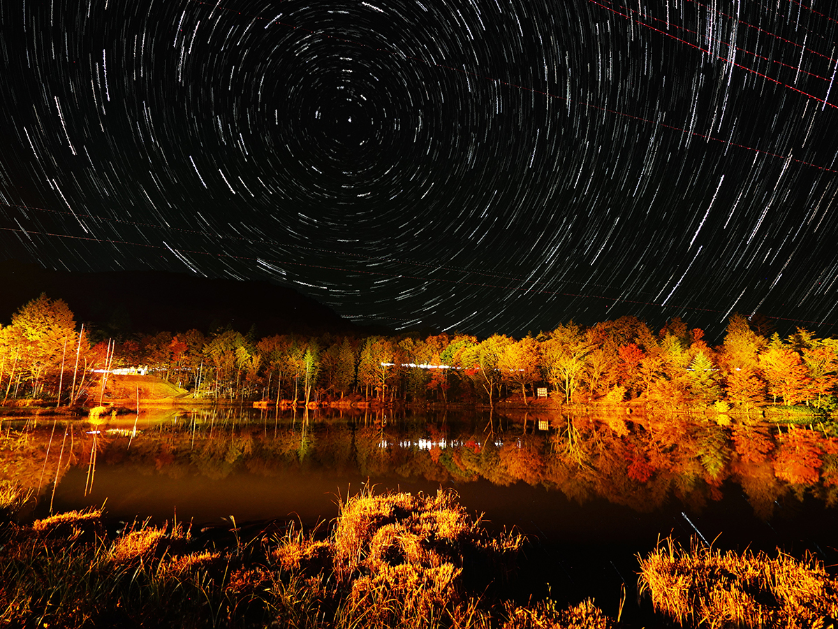 茶臼山高原紅葉ライトアップ