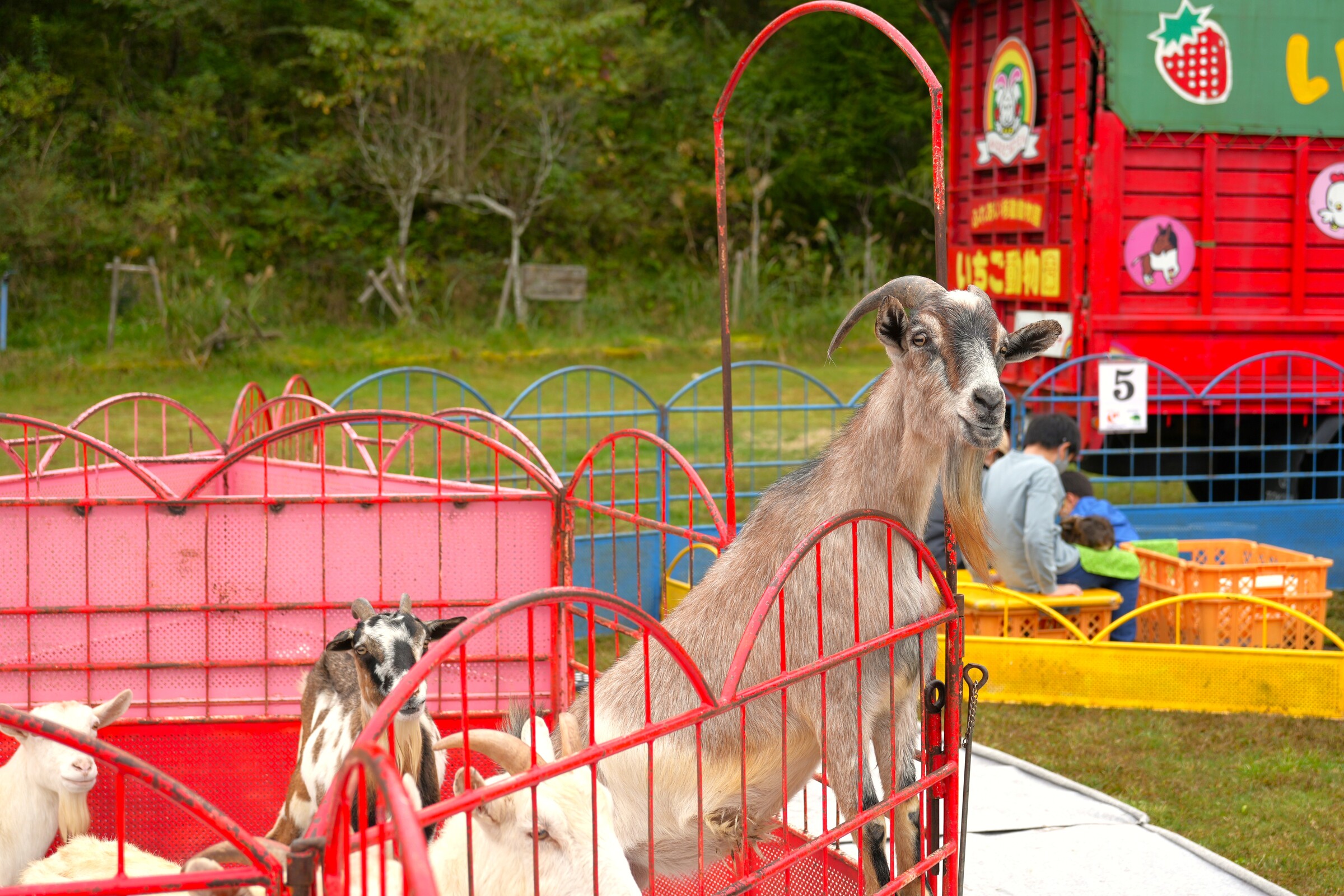 いも煮会in茶臼山