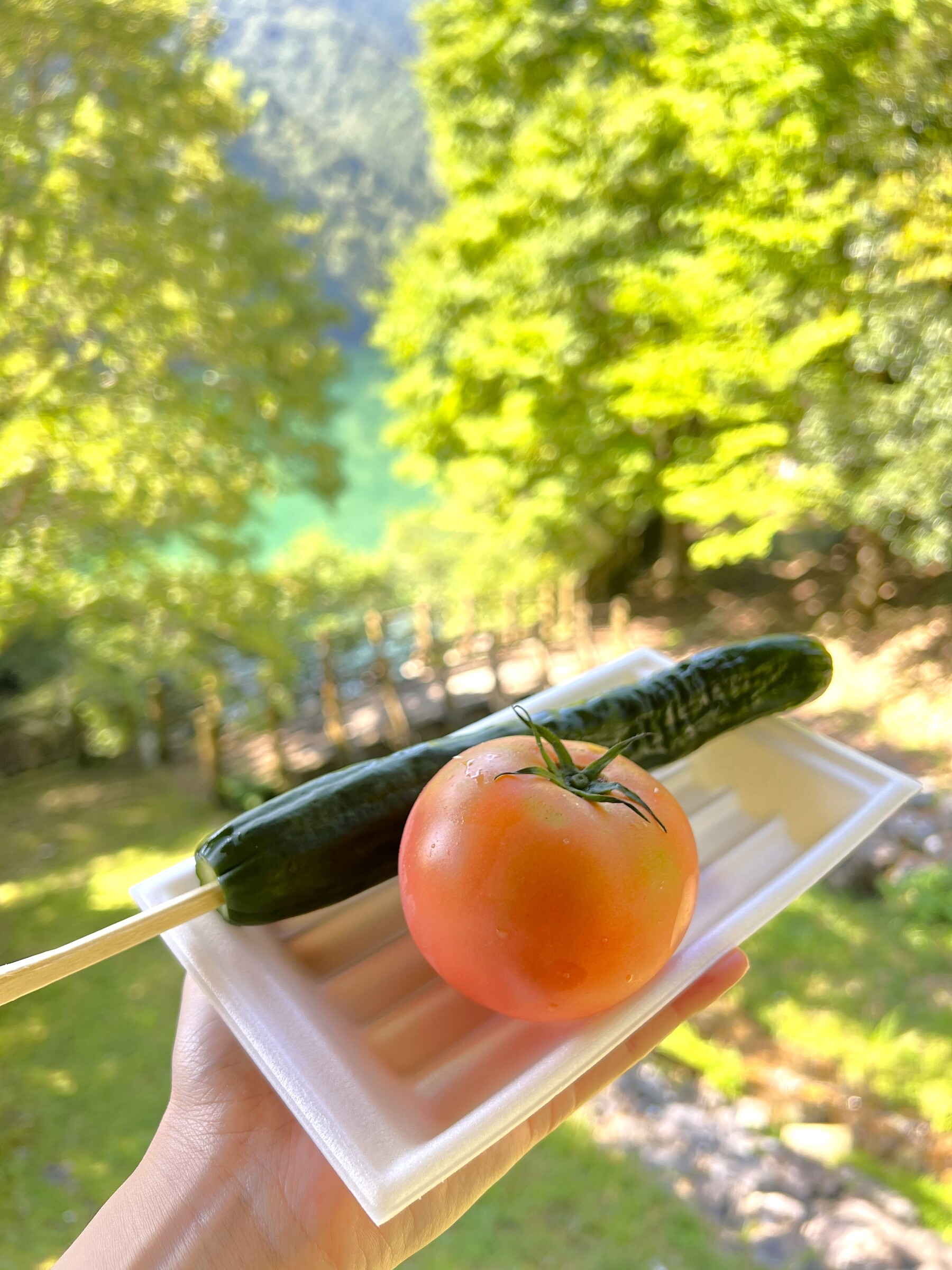 とよね朝活cafe!