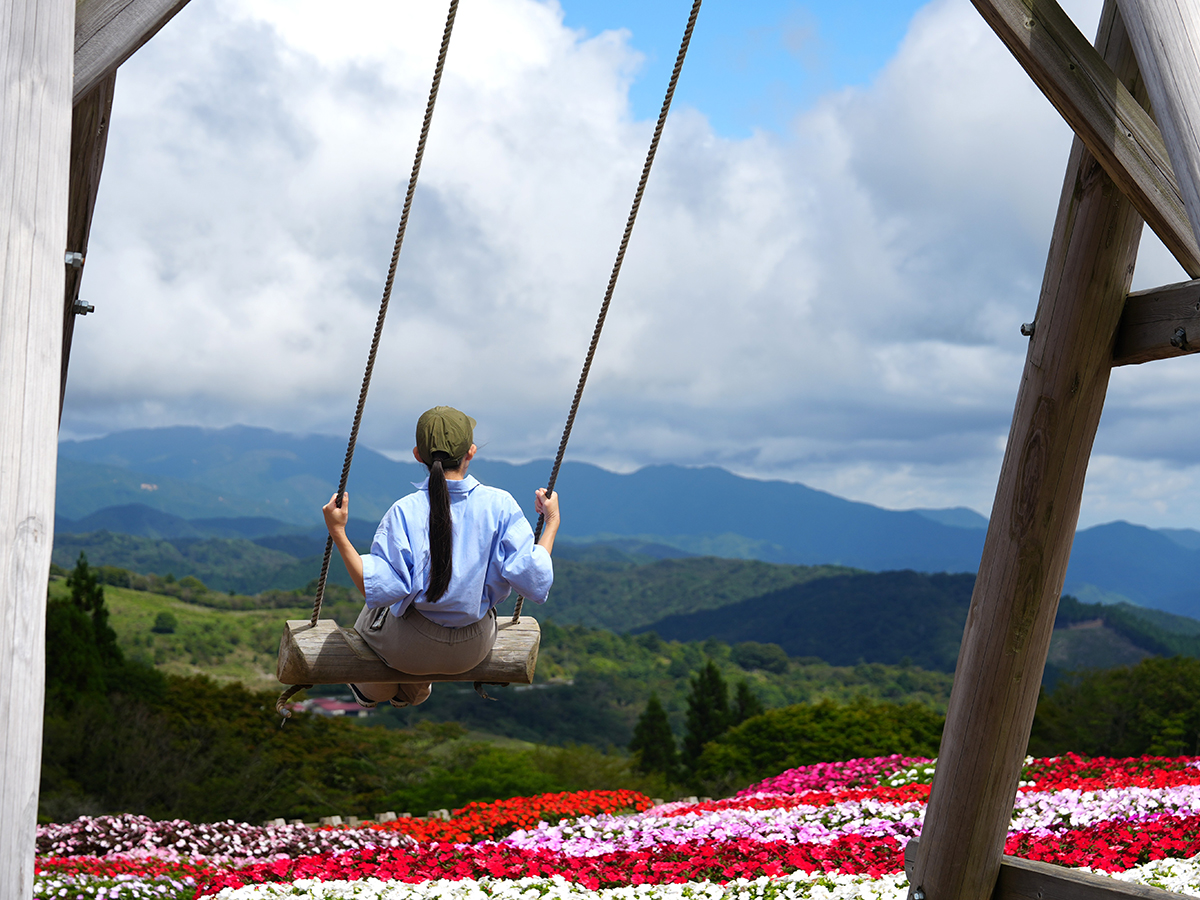 茶臼山高原inサマー