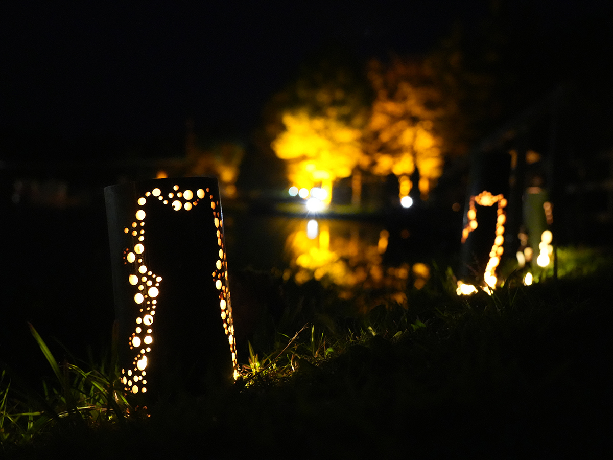 茶臼山高原紅葉ライトアップ