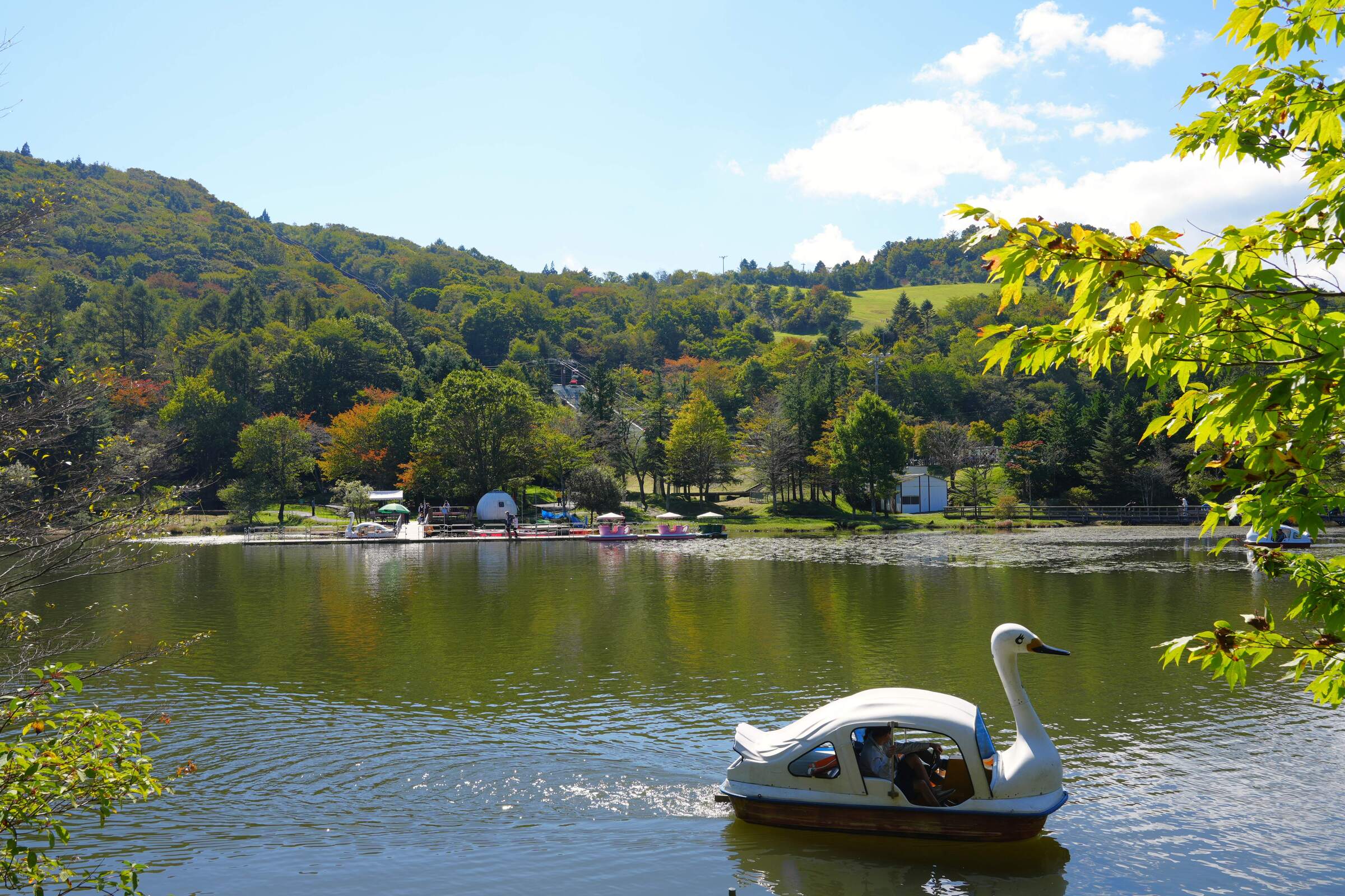 いも煮会in茶臼山