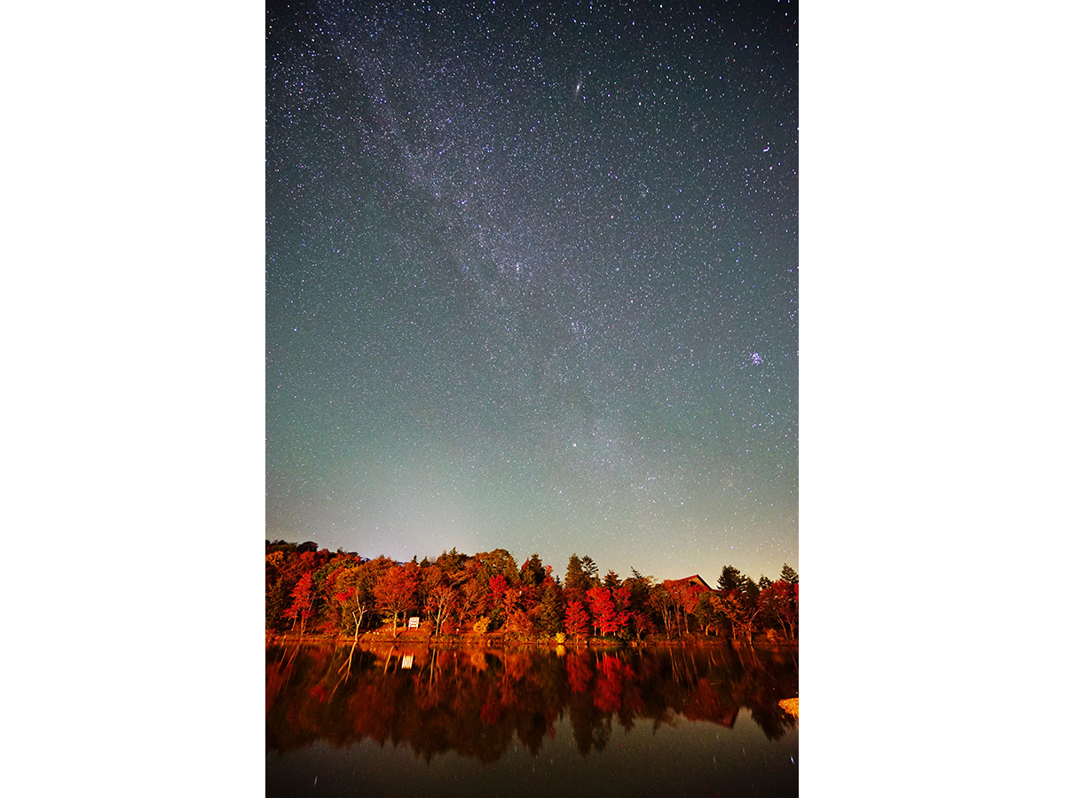 茶臼山高原紅葉ライトアップ