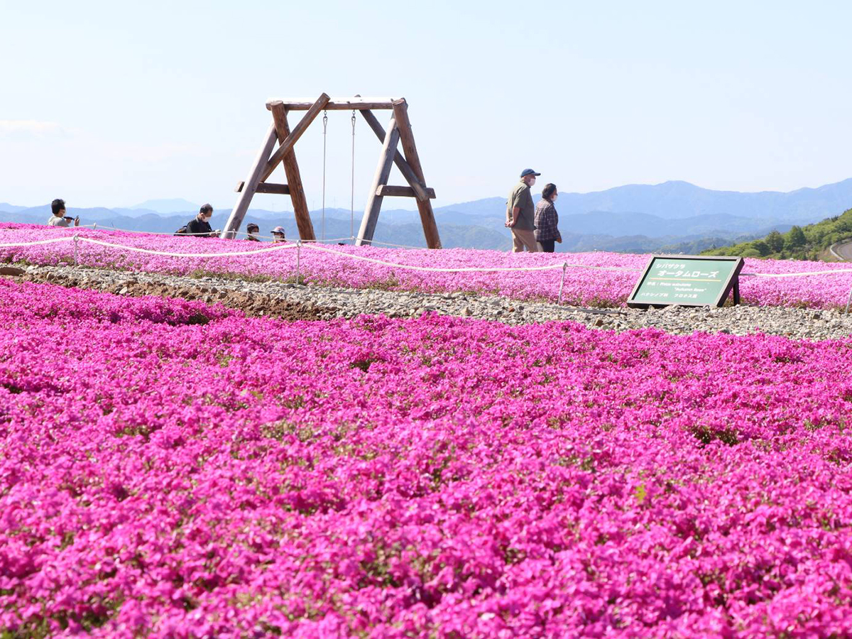 \r\n\r\n\r\n\r\n\r\n\r\n\r\n\r\n\r\n