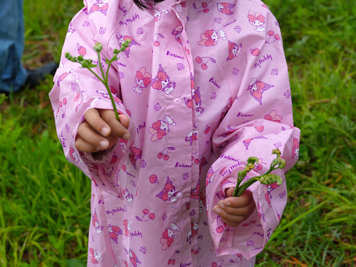 春の山菜を天ぷらや草もちにして食べよう！