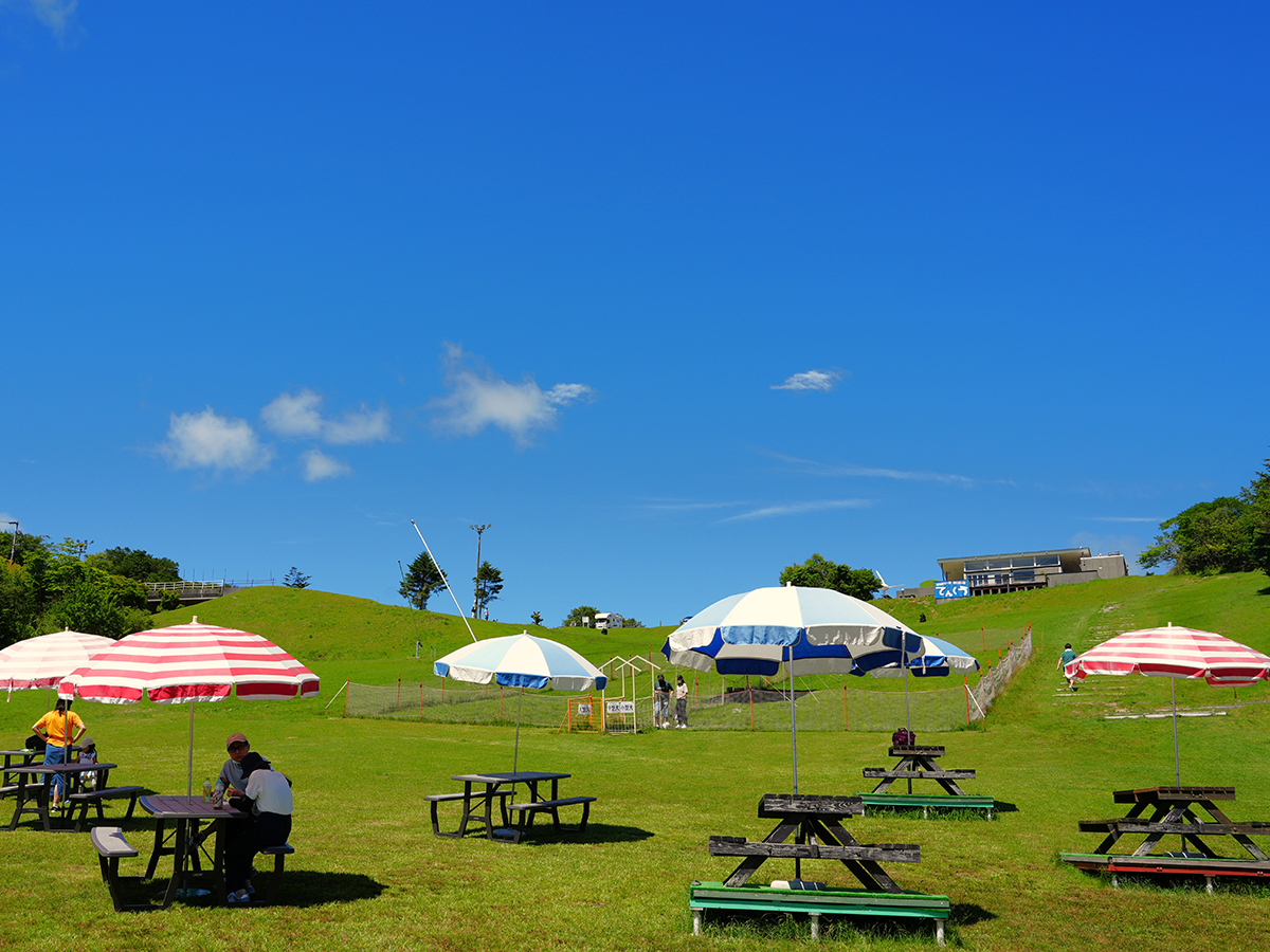 茶臼山高原inサマー