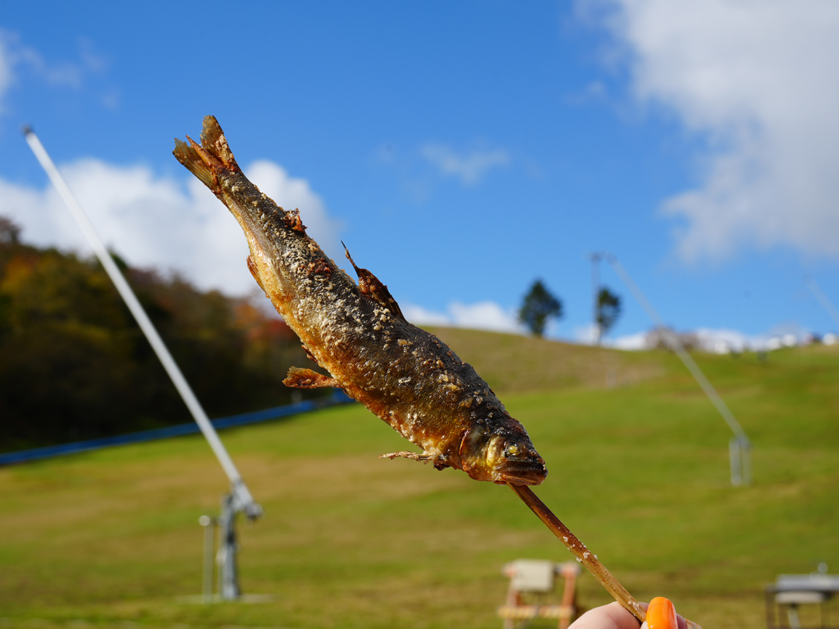 茶臼山高原紅葉ライトアップ