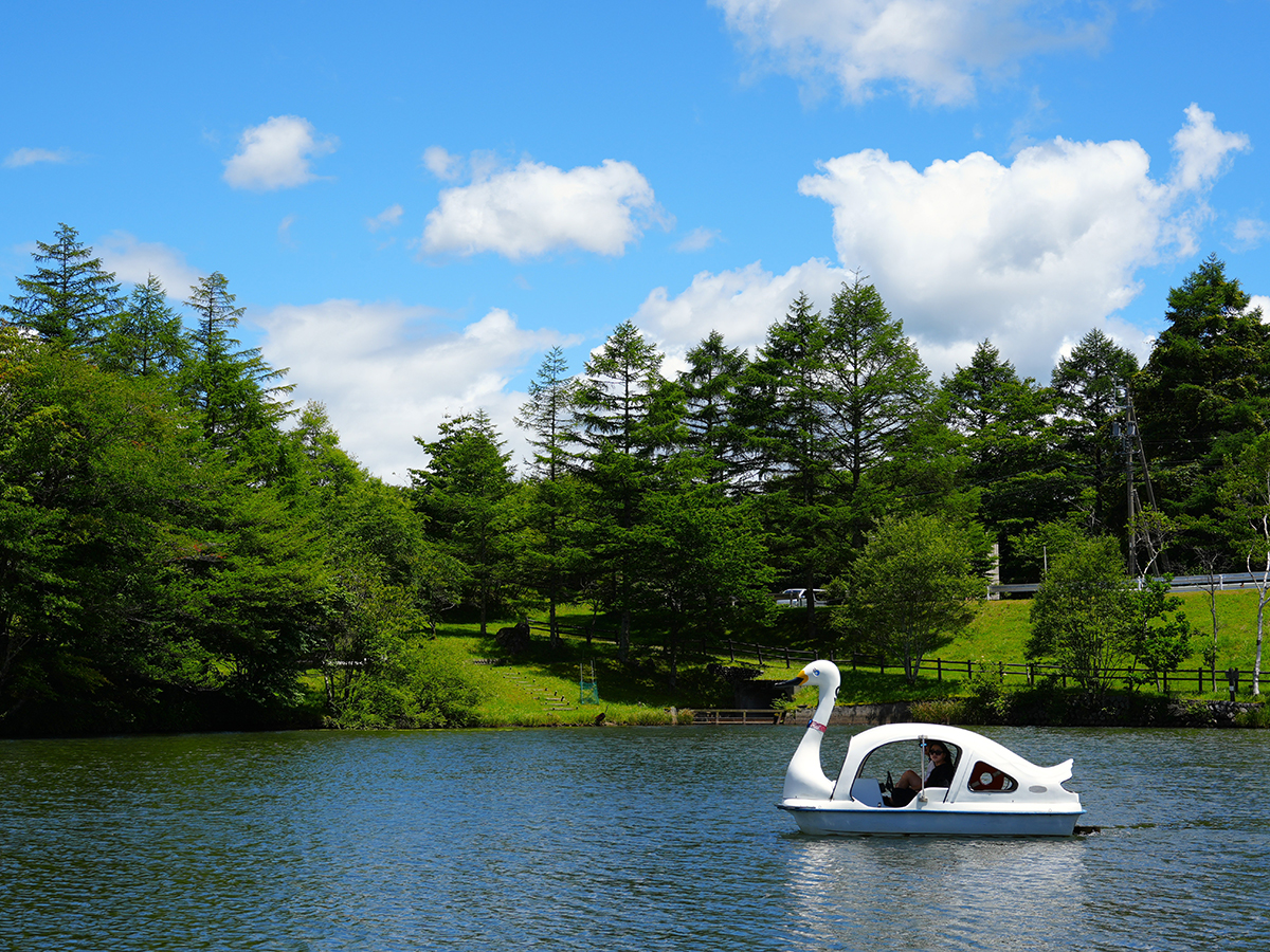 茶臼山高原inサマー