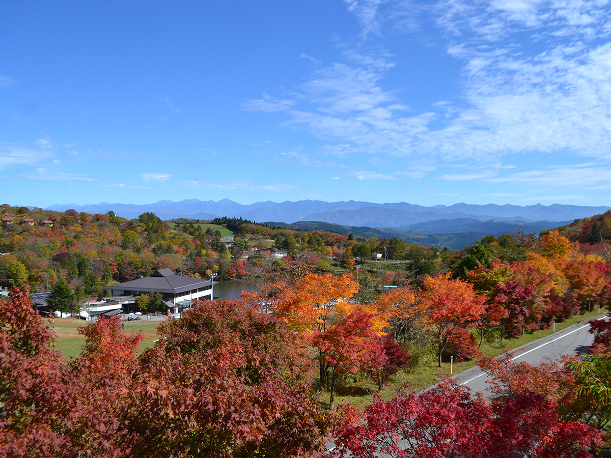 \r\n\r\n\r\n\r\n\r\n\r\n\r\n\r\n\r\n\r\n\r\n\r\n\r\n\r\n\r\n\r\n