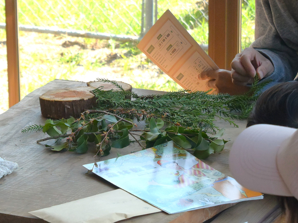 親子で楽しむ森の教室
