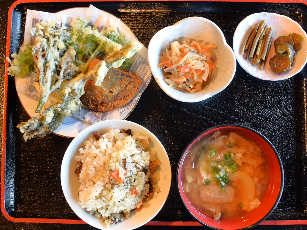 あさがね農園山菜(わらび)採りできますよ～！