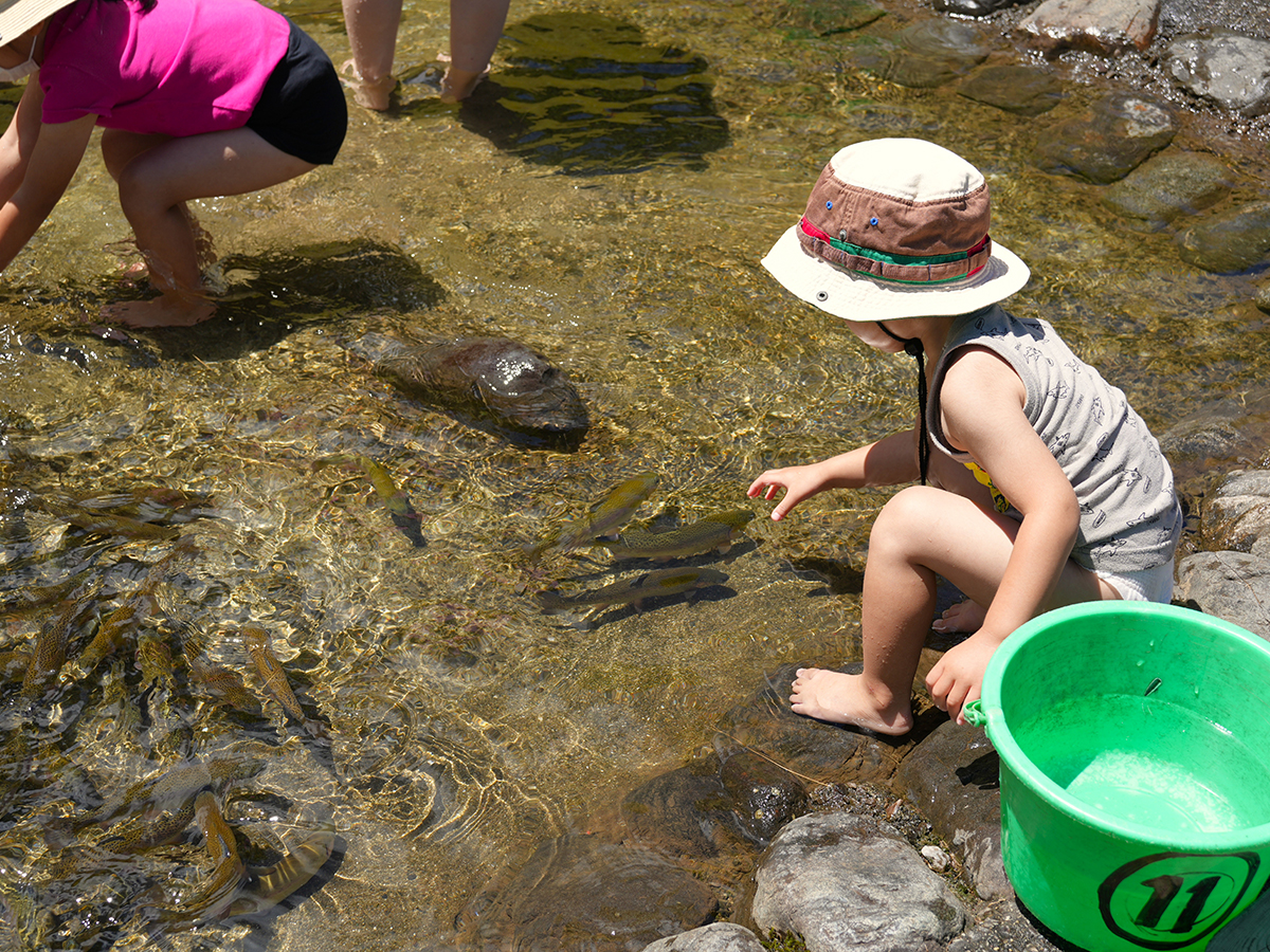 茶臼山高原inサマー