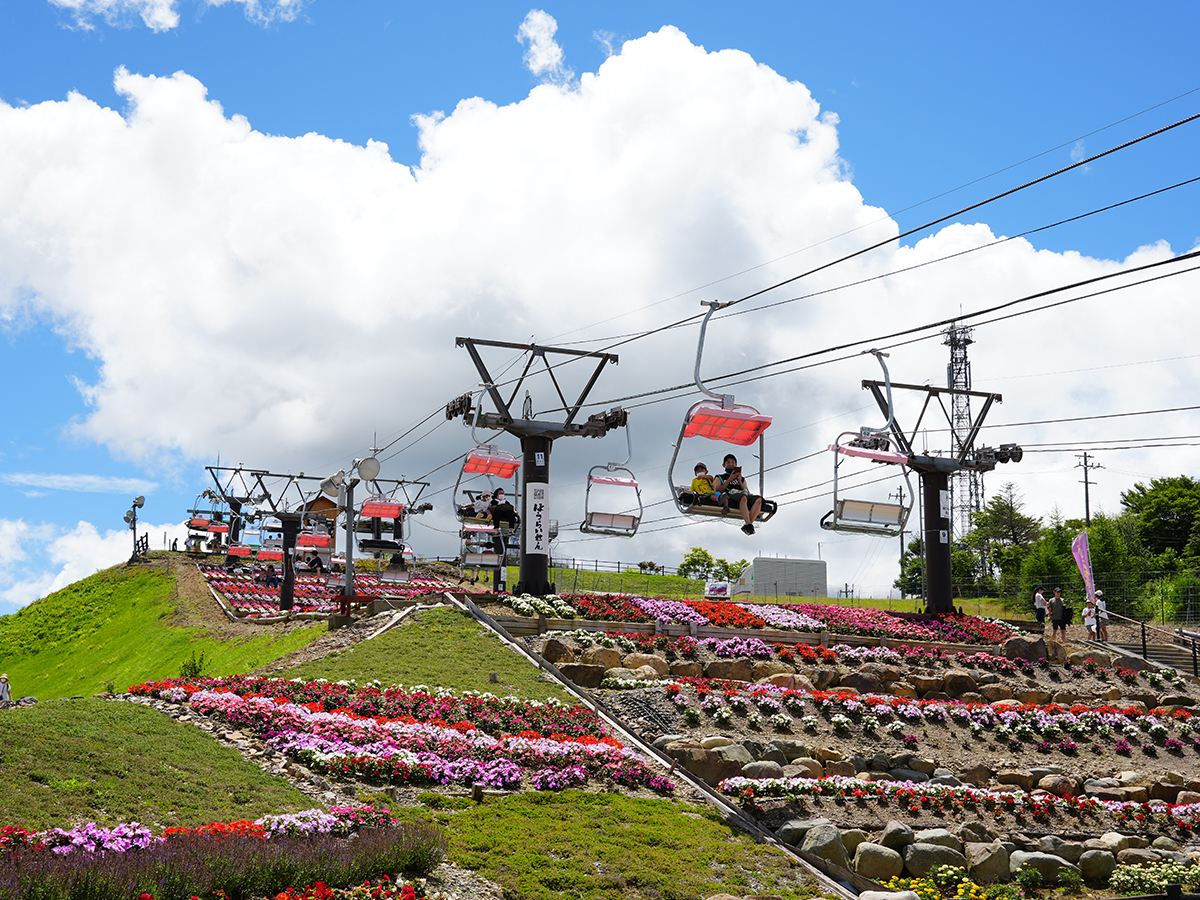 茶臼山高原inサマー