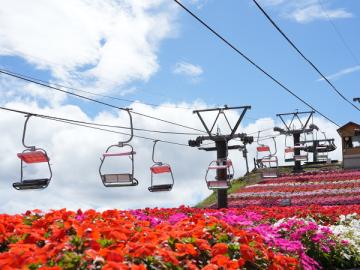 茶臼山高原inサマー