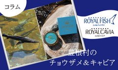 キャビアとチョウザメの歴史