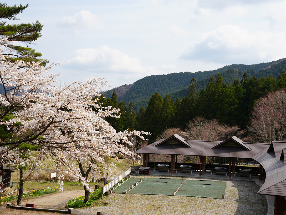 \r\n\r\n\r\n\r\n\r\n\r\n\r\n\r\n\r\n