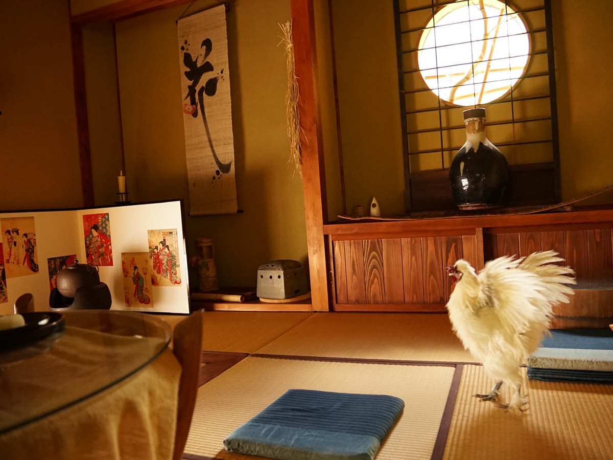 \r\n\r\n\r\n\r\n\r\n\r\n\r\n