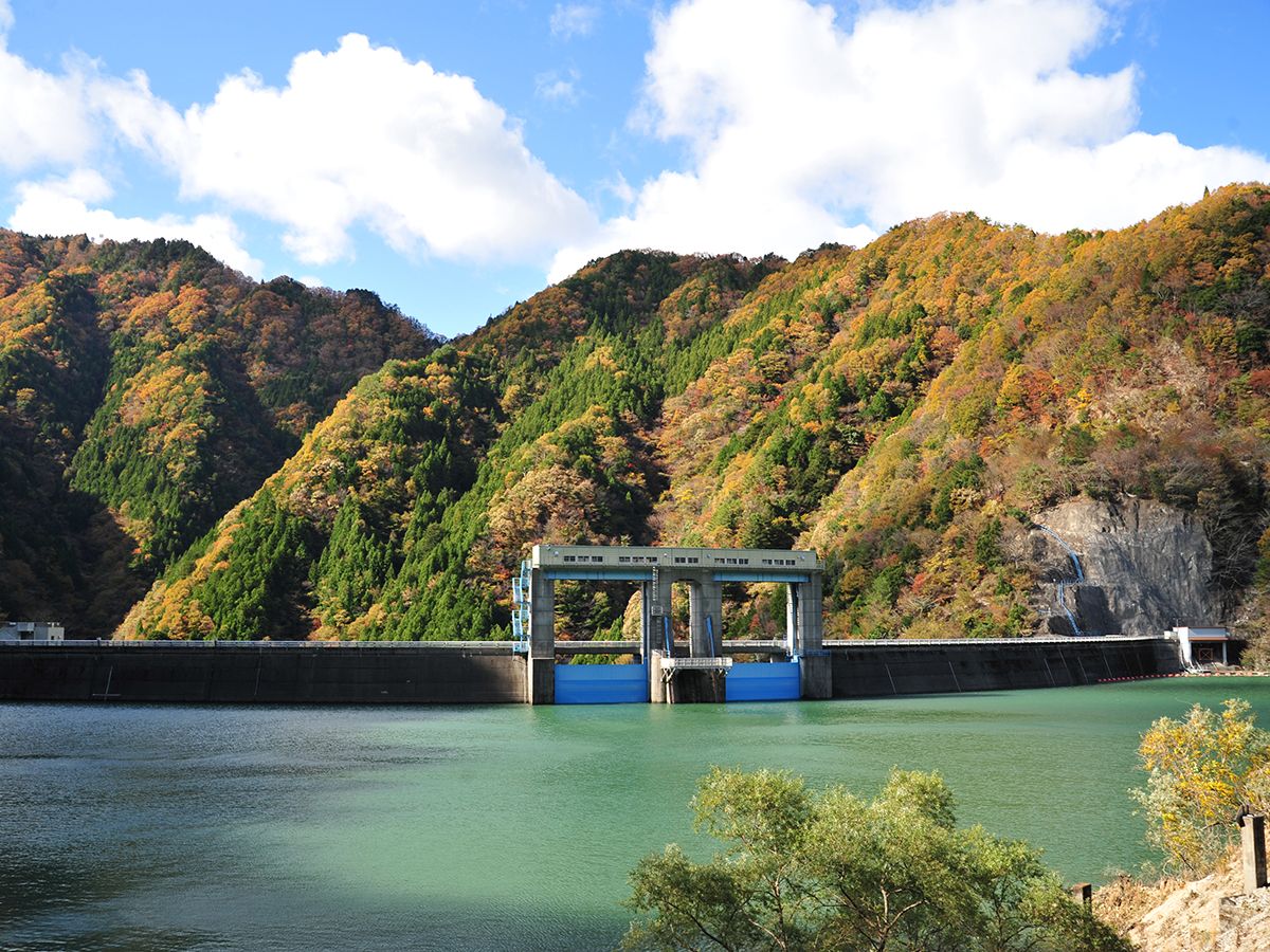 \r\n\r\n\r\n\r\n\r\n